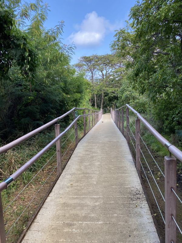 Garden Path Construction
