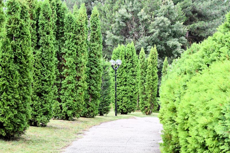 Products For Garden Path Constructions in use